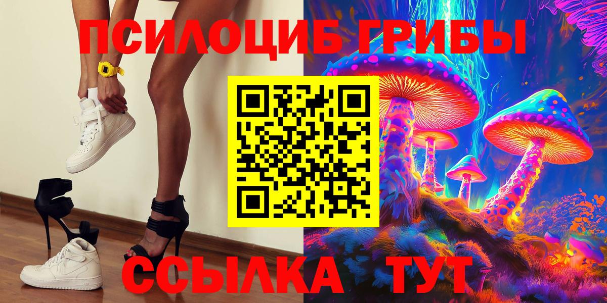 Псилоцибиновые грибы Cubensis  Вход с VPN  Советская Гавань 