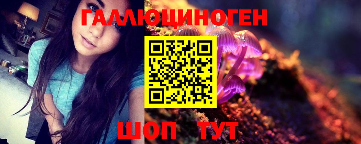 Галлюциногенные грибы мухоморы Советская Гавань